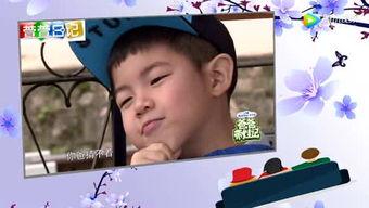 娱乐新闻大爆料标题,大爆料背后的惊人真相