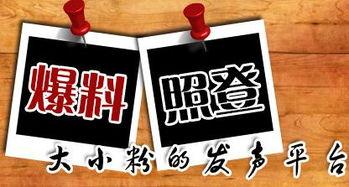 太行新闻爆料,揭秘某重大事件背后真相  第1张